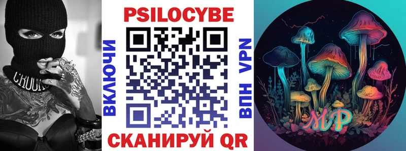 мориарти наркотические препараты  Бавлы  Псилоцибиновые грибы Psilocybe 